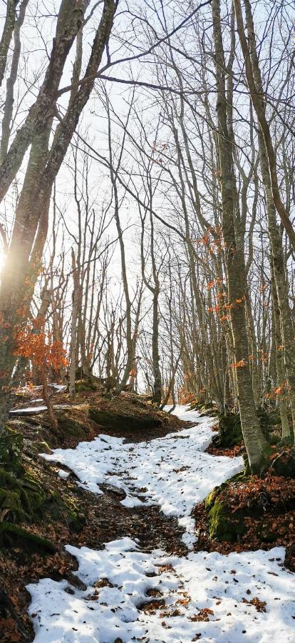 Granchalet Sul Cimone 103 Montecreto Εξωτερικό φωτογραφία