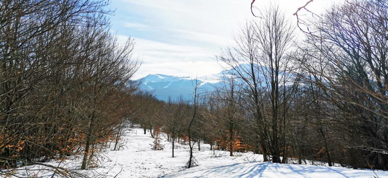 Granchalet Sul Cimone 103 Montecreto Εξωτερικό φωτογραφία